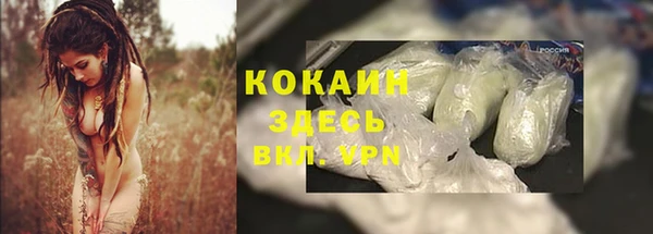 винт Новозыбков