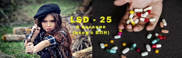 винт Новозыбков